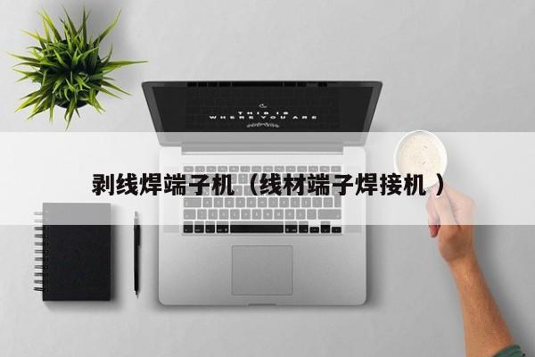 剝線焊端子機（線材端子焊接機 ）